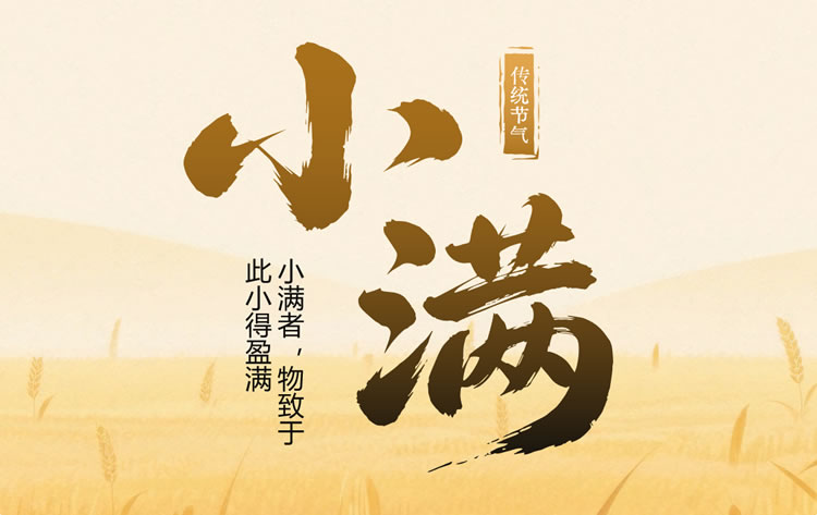 二十四节气模板ppt 小满ppt模板免费下载