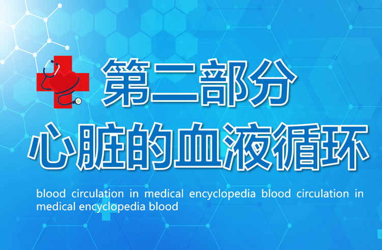 知识培训讲座之血液基础知识ppt模板下载 知识培训讲座之血液基础知识ppt模板下载