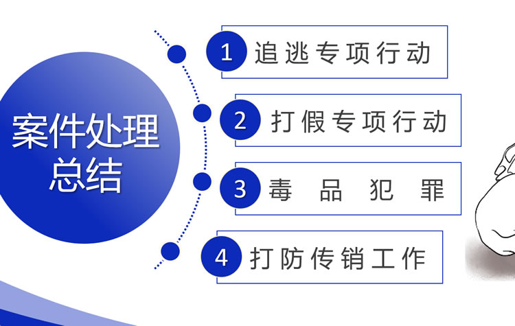 公安案件汇报ppt模板